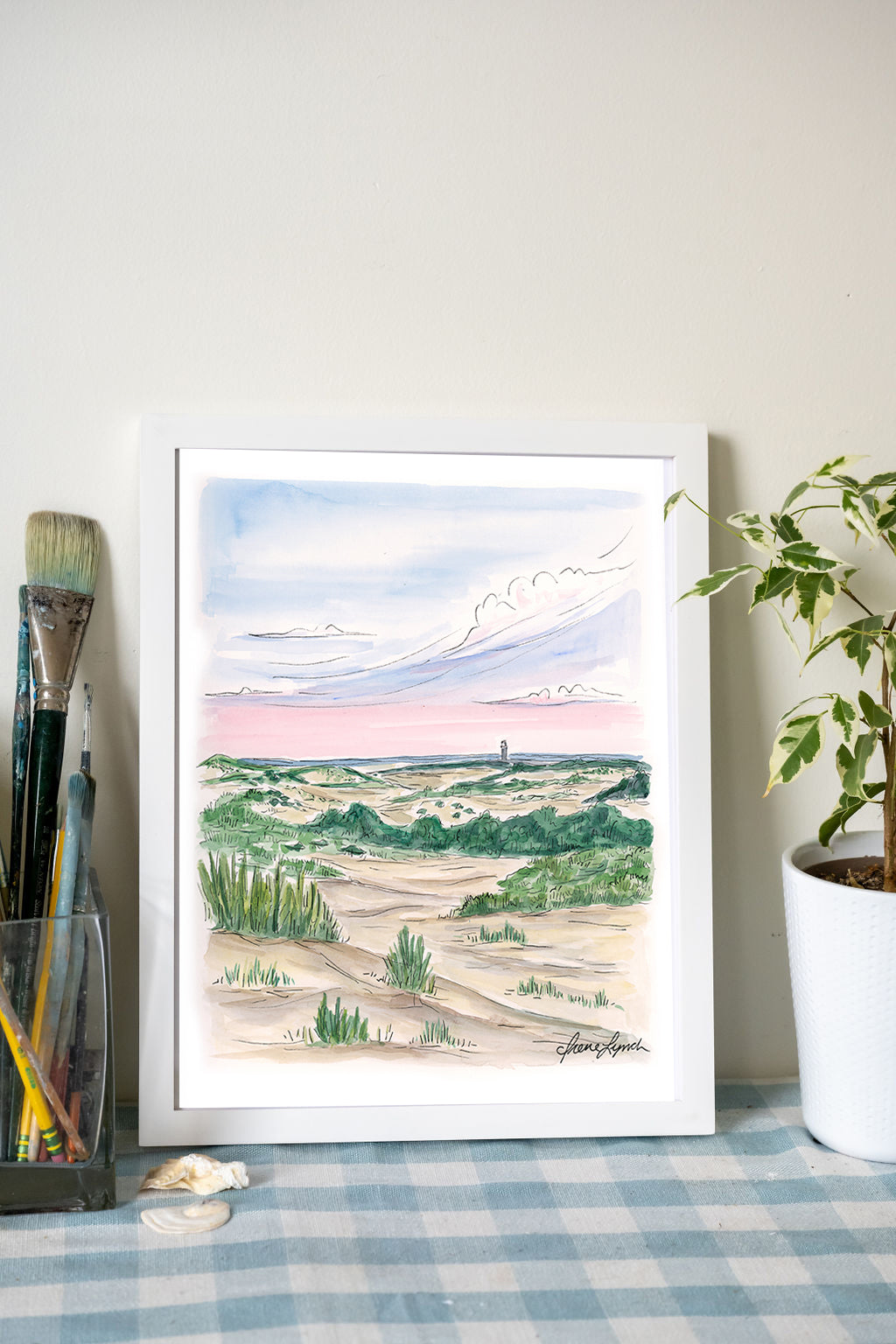 "View From the Province Lands"