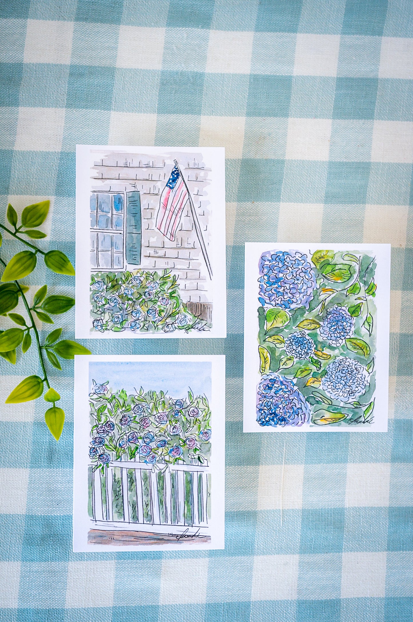 Cape Blooms - Pack of 6 Notecards