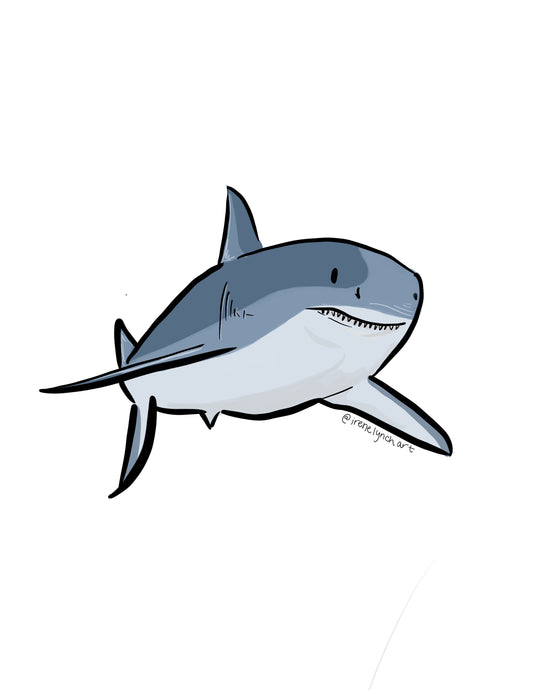 Shark Sticker