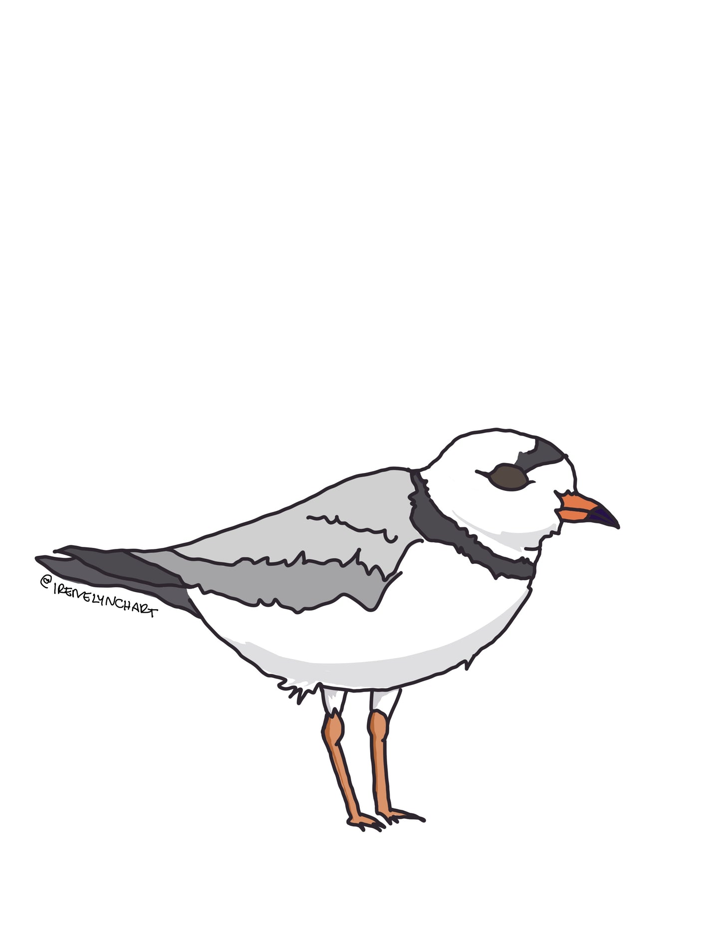 Bird Sticker Bundle