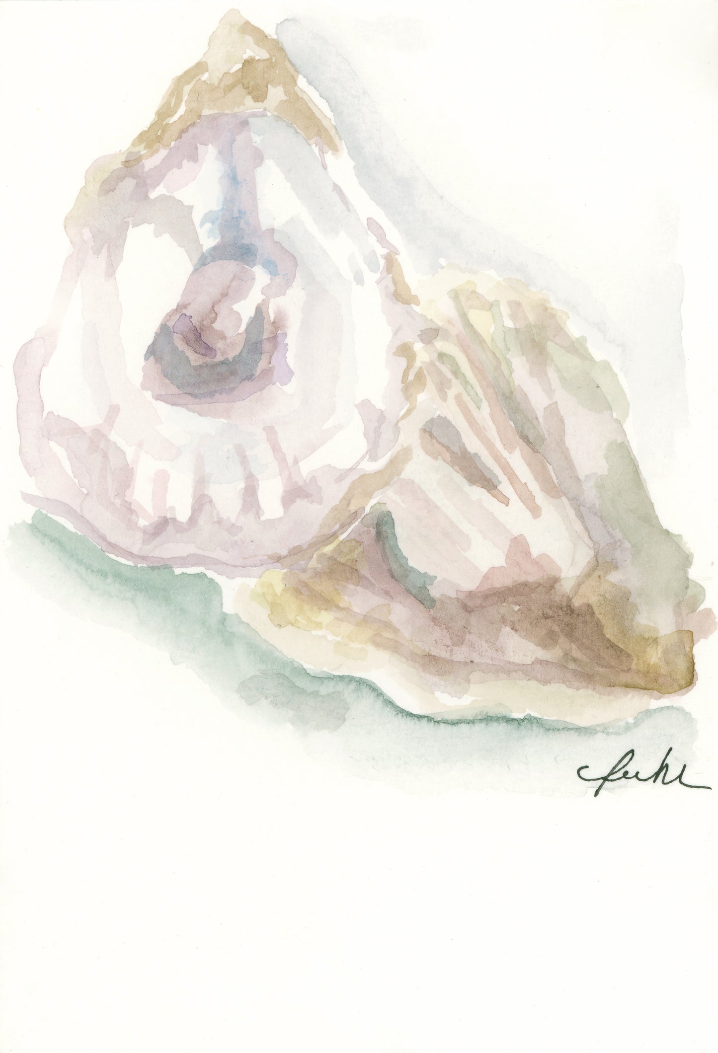 Coastal Pastels