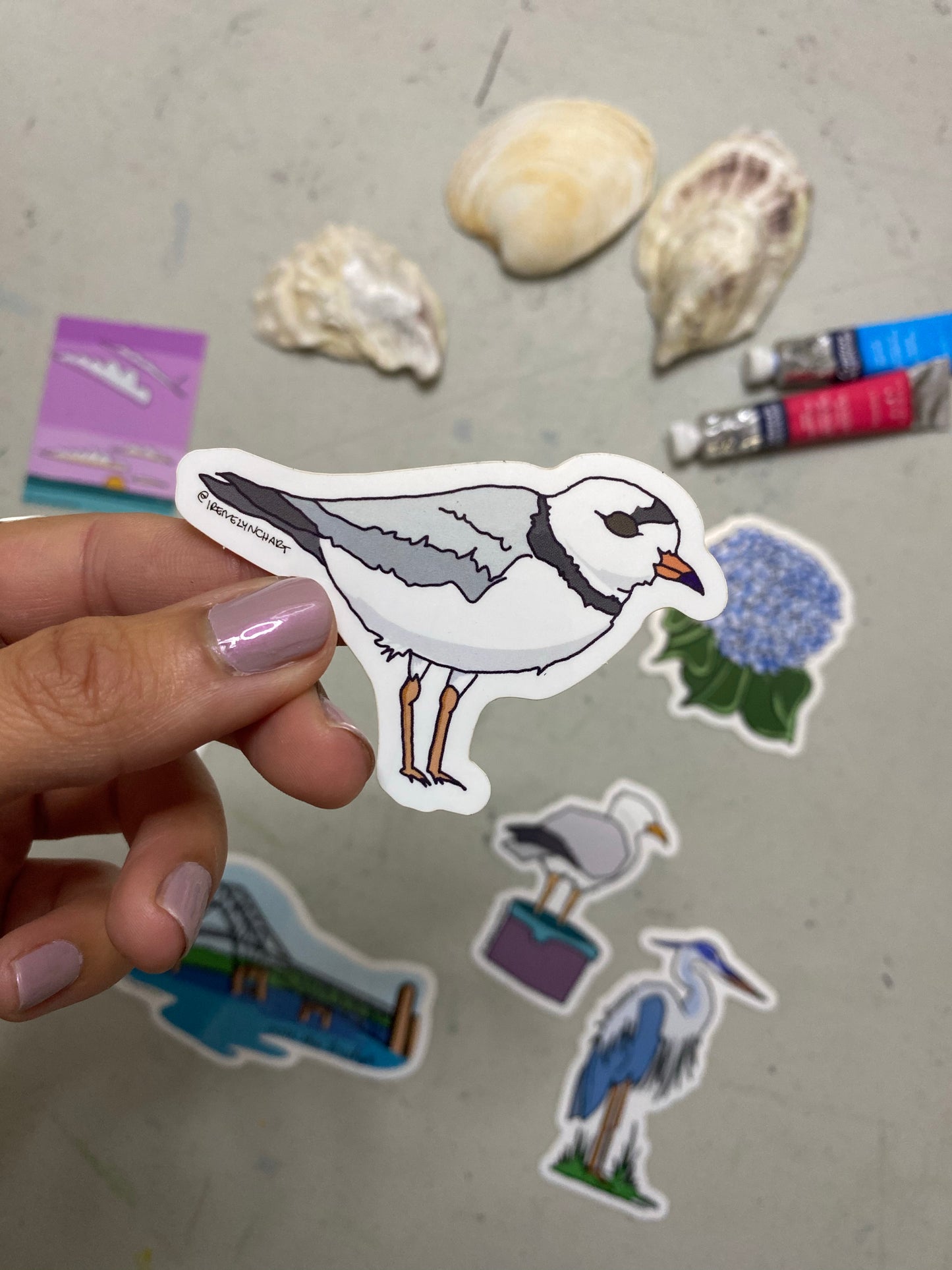 Piping Plover Sticker