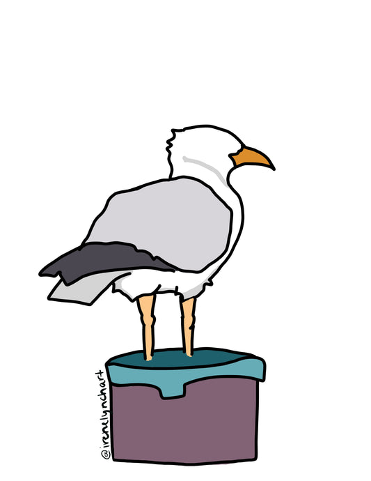 Seagull Sticker