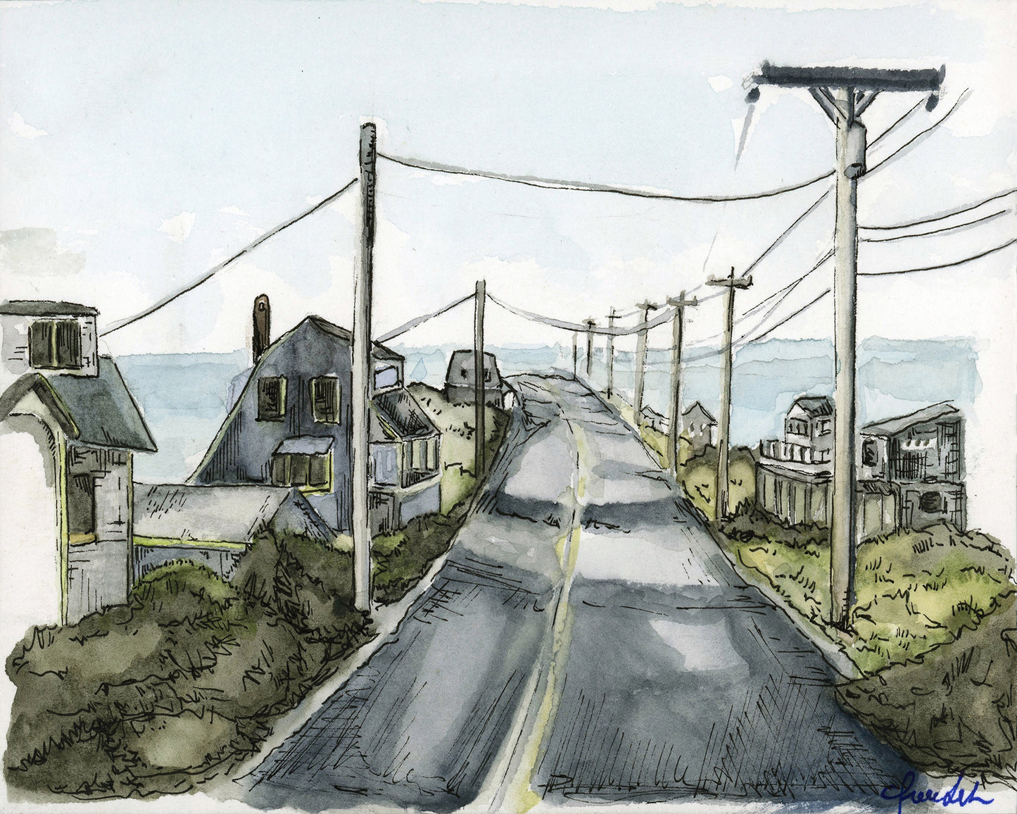 Cape Cod Capsules