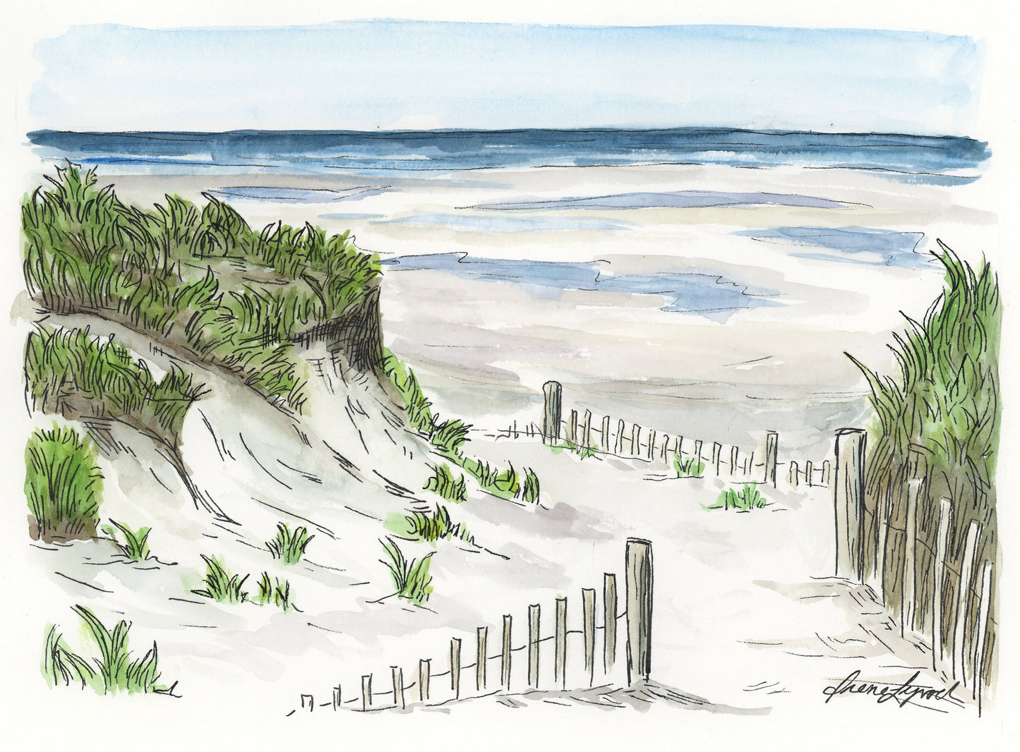Cape Cod Capsules