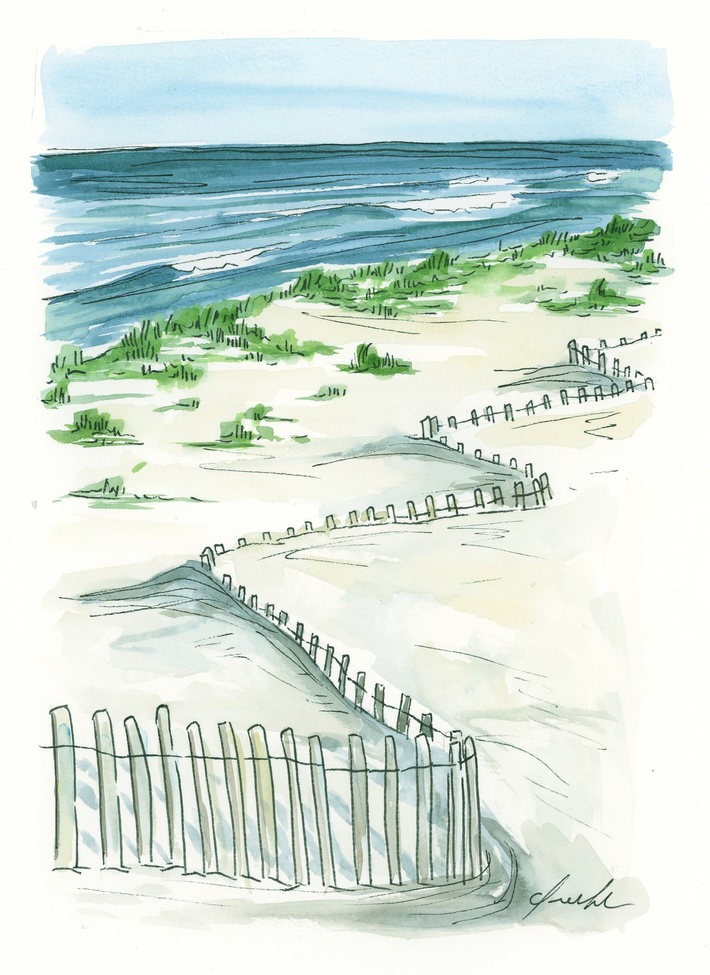 Cape Cod Capsules