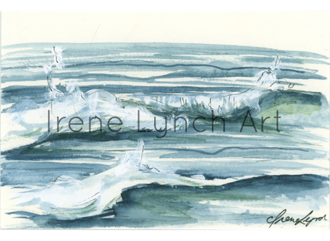 Cape Seas