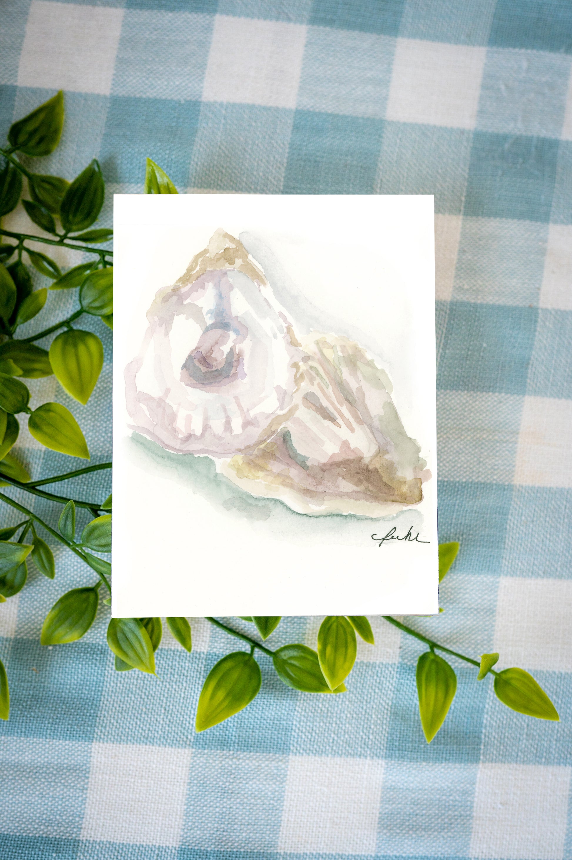 Cape Cod notecards boxed set featuring Oyster designs