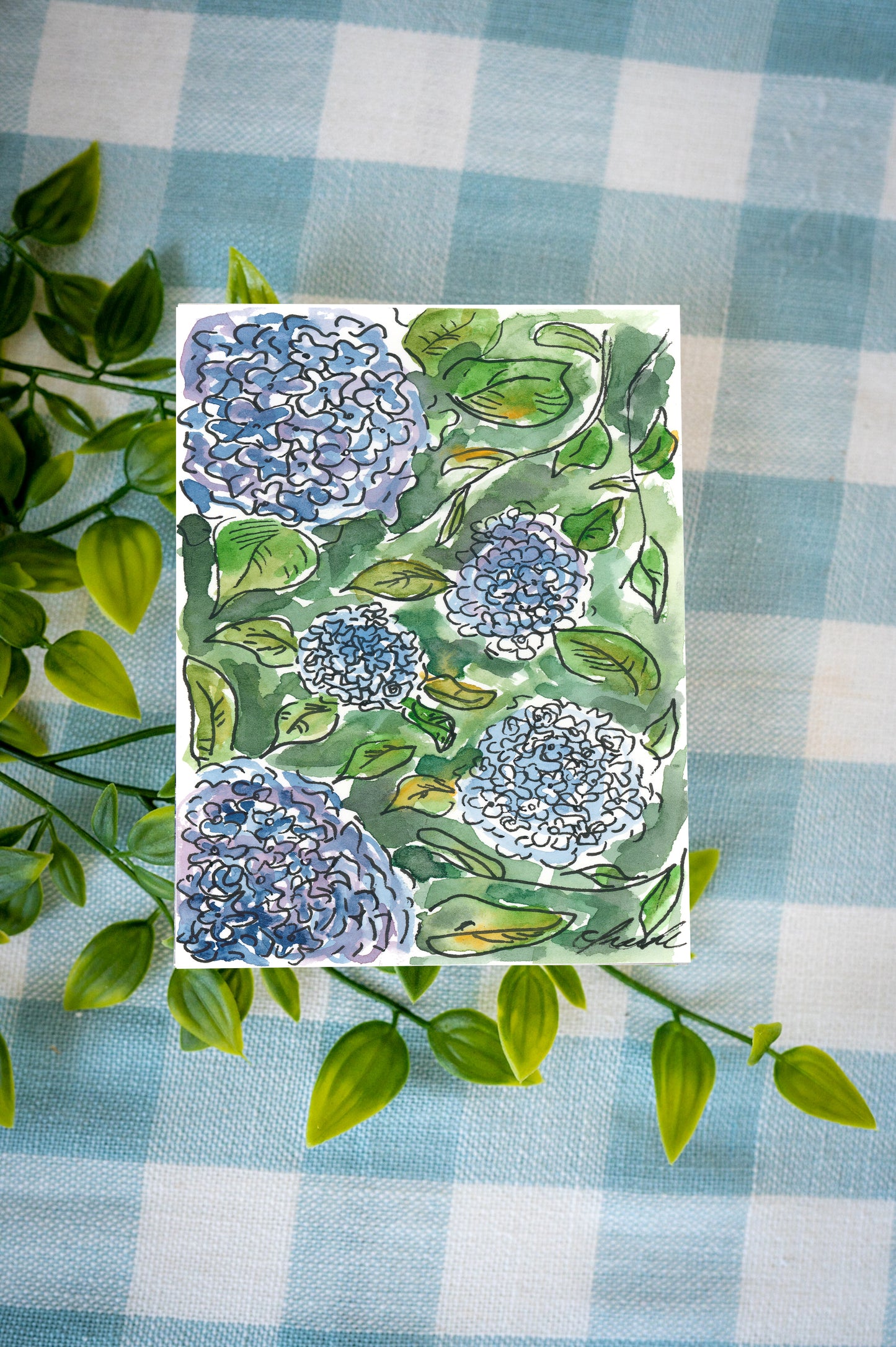 Cape Cod Bloom Notecards boxed set featuring hydrangea illustrations