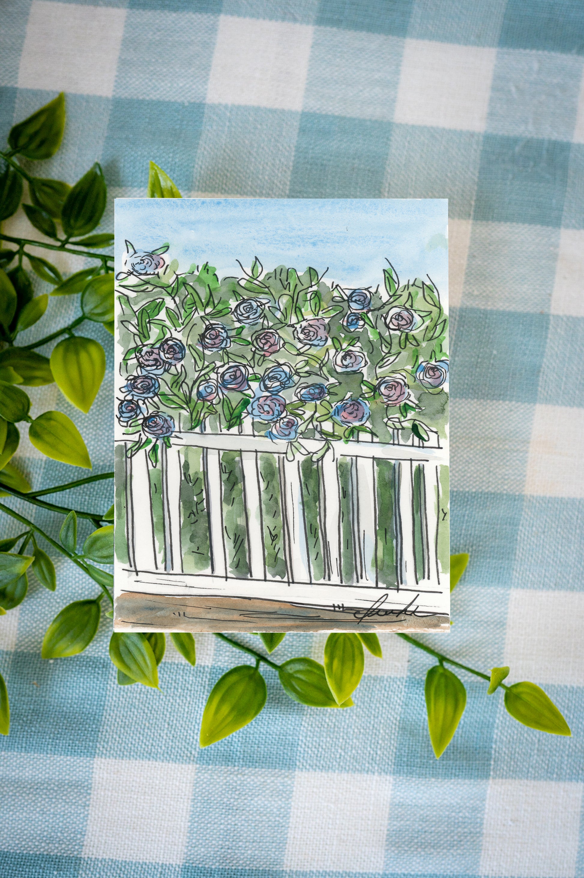 Cape Cod Bloom Notecards boxed set featuring hydrangea illustrations