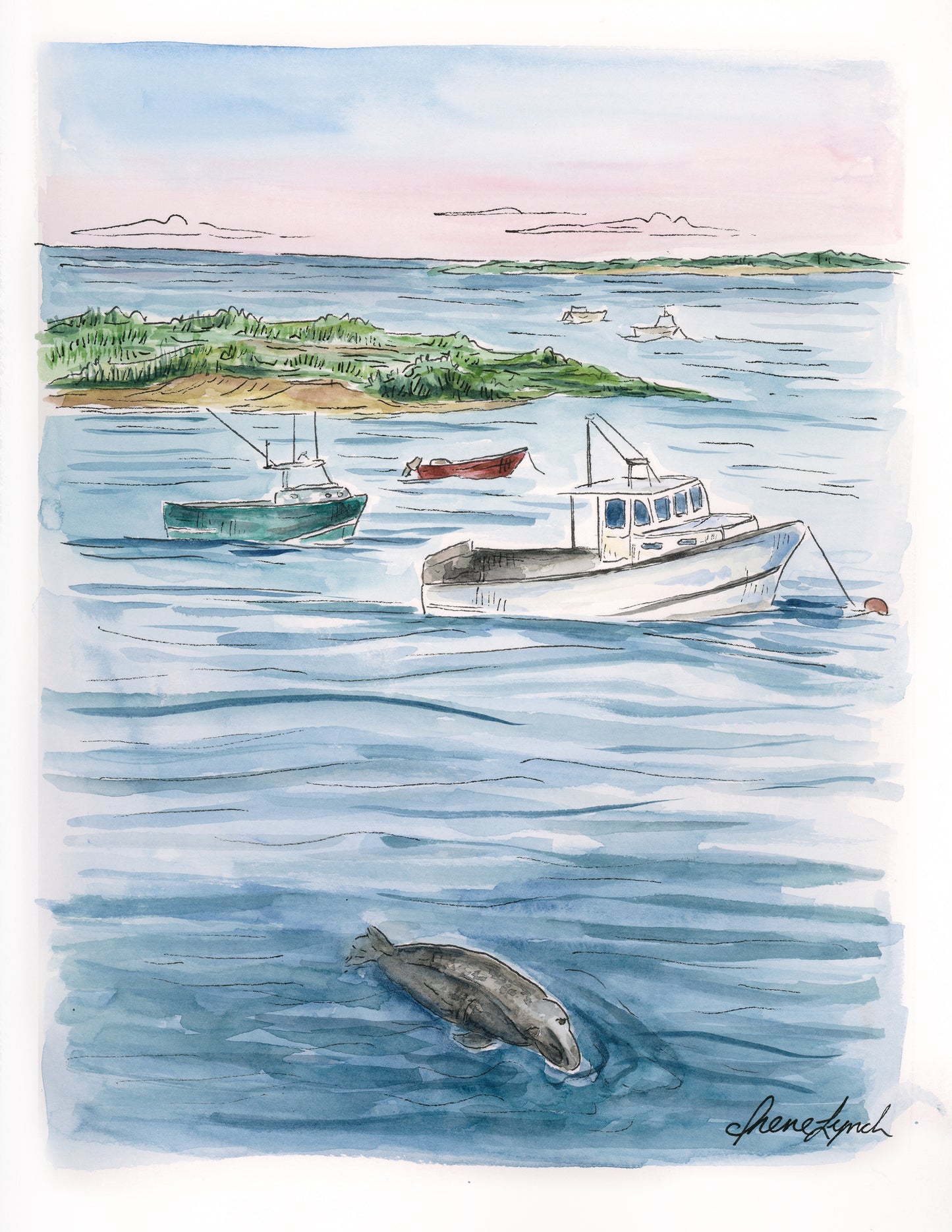 "Seal Watching at the Fish Pier"