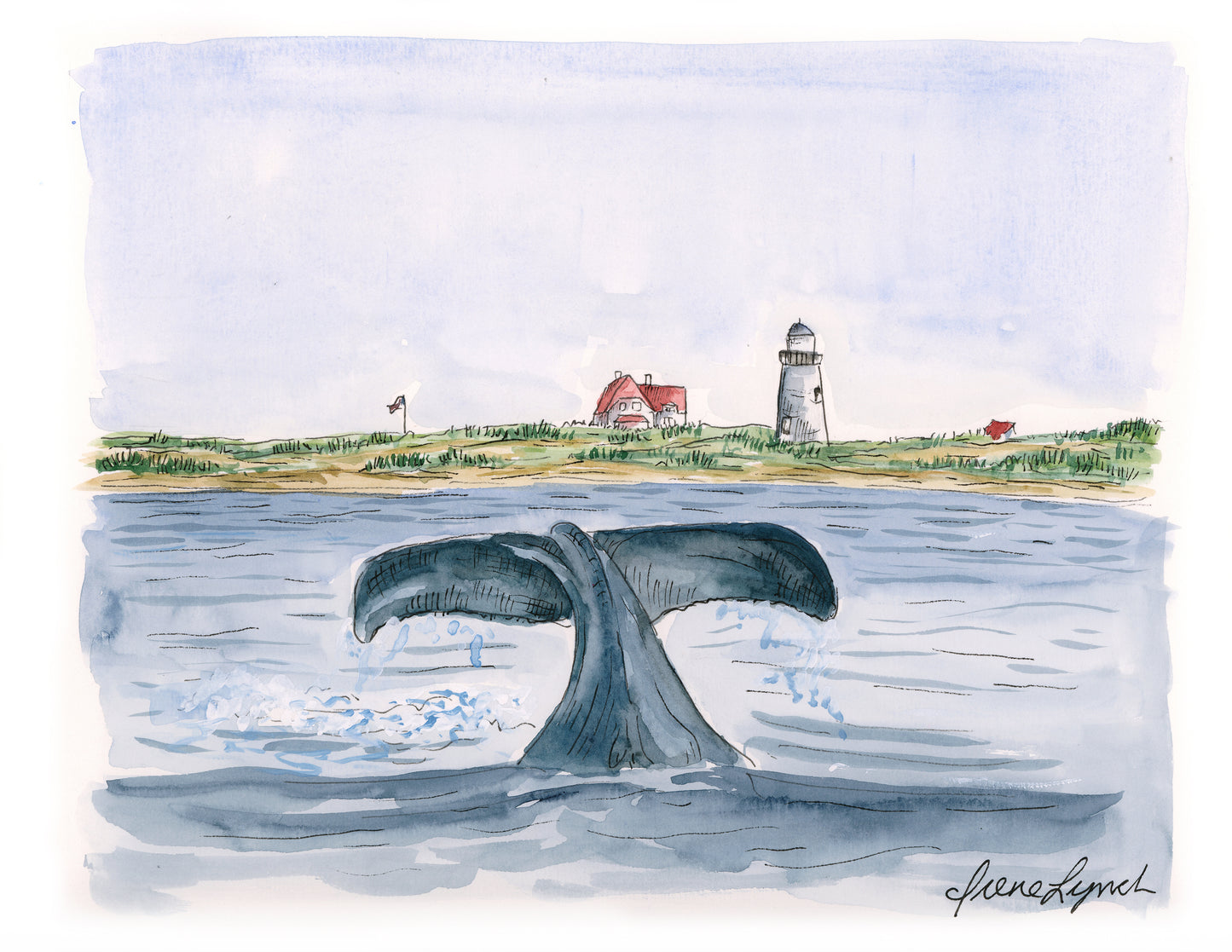 "Whale Watching"