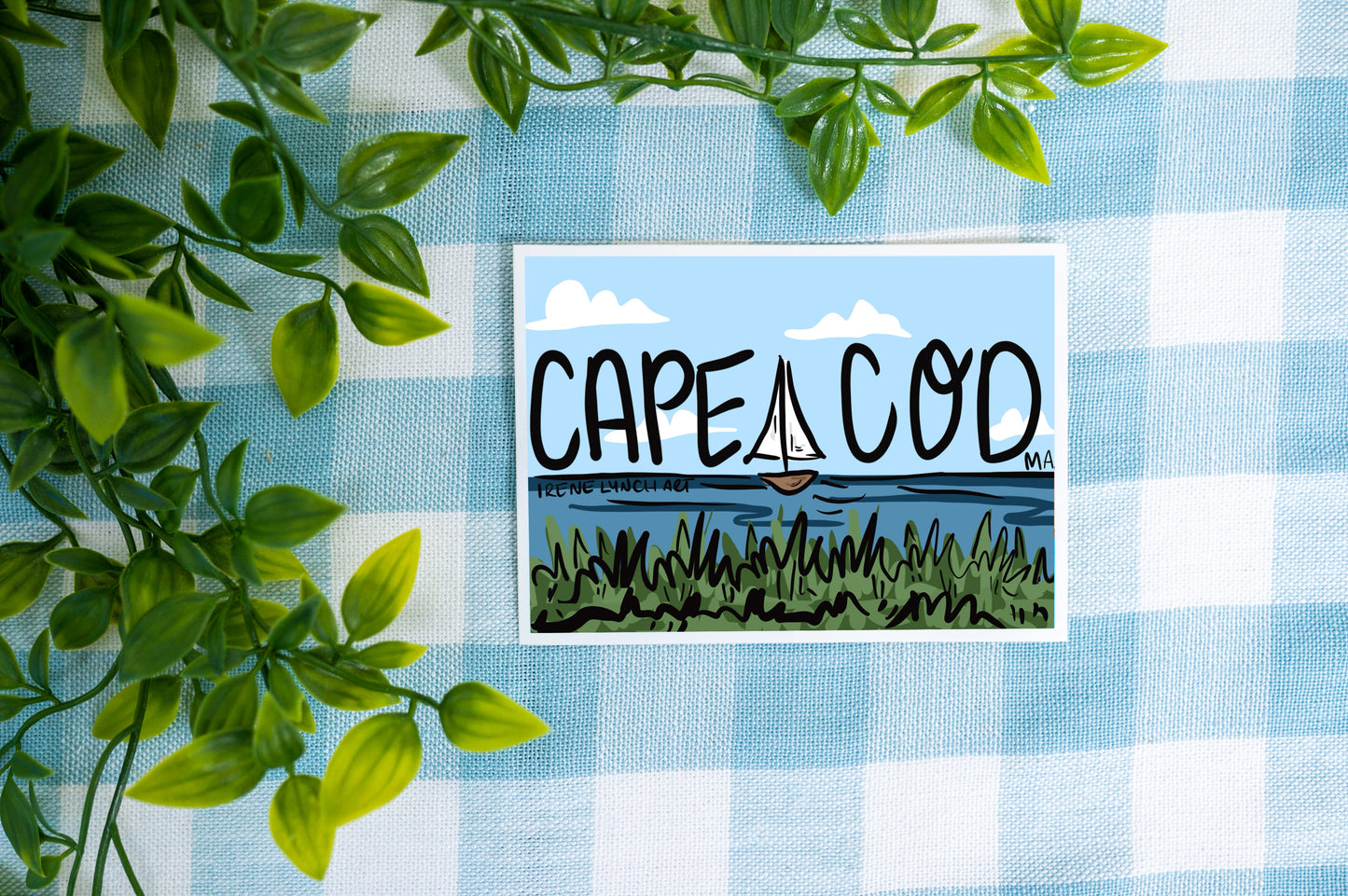 Cape Cod Postcard | Coastal Cape Cod Souvenir