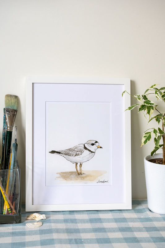 Piping Plover Art Print – Cape Cod Watercolor Coastal Bird Wall Art