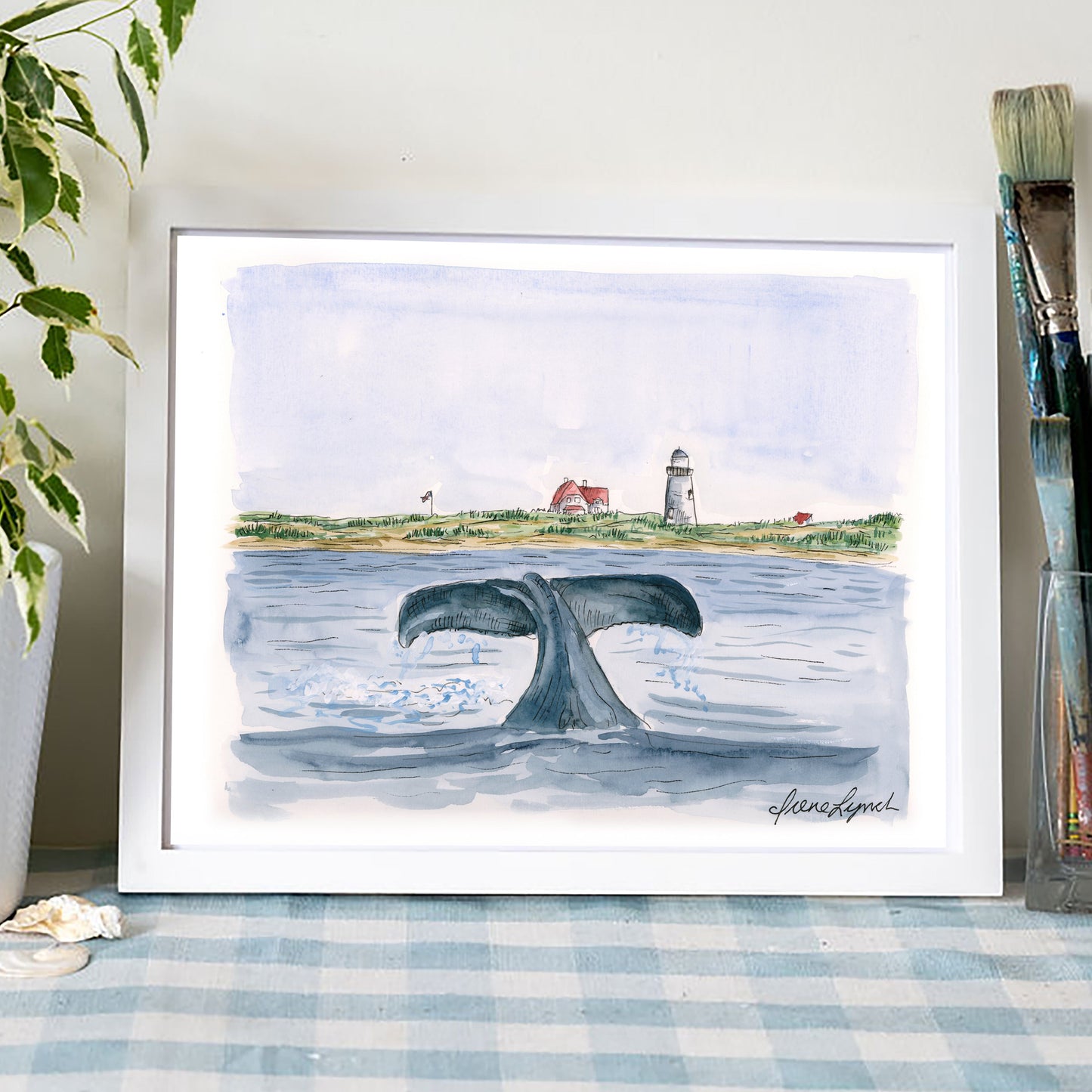 Whale Watching