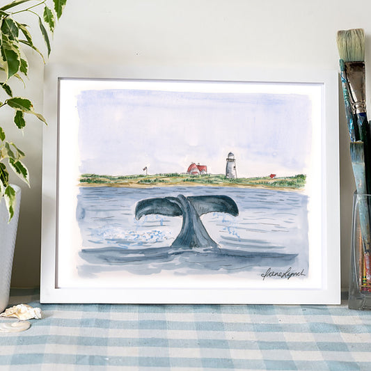 Whale Watching