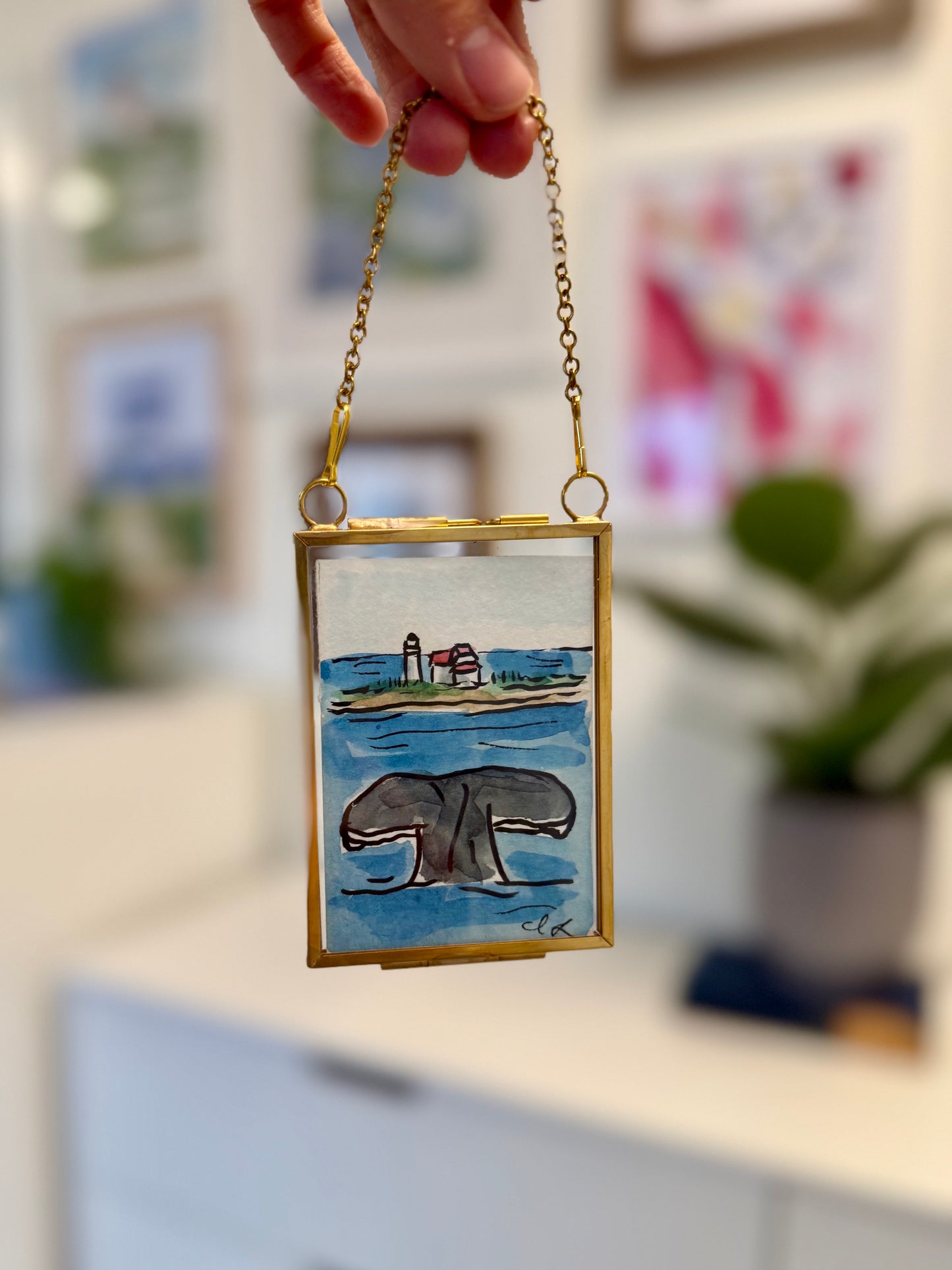 Whale Watching on Cape Cod