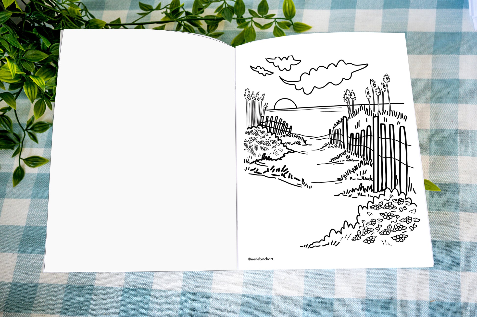Cape Cod coloring book featuring Provincetown Chatham Wellfleet and Nantucket illustrations
