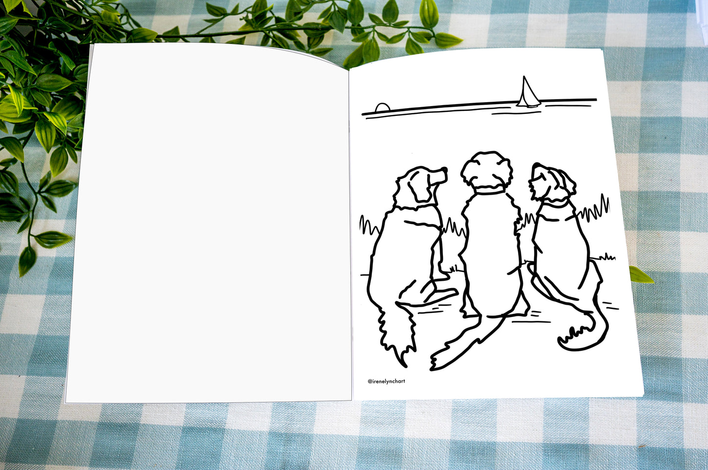 Cape Cod coloring book featuring Provincetown Chatham Wellfleet and Nantucket illustrations and golden retriever