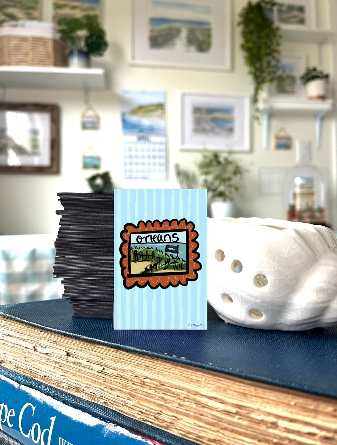 Cape Cod Magnets Collection