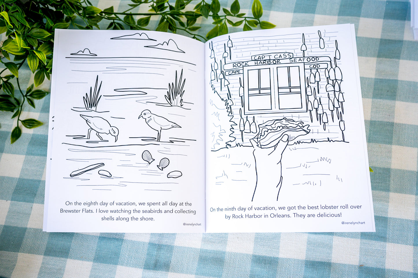 "A Cape Cod Vacation In Color" A Coloring Book for All Ages