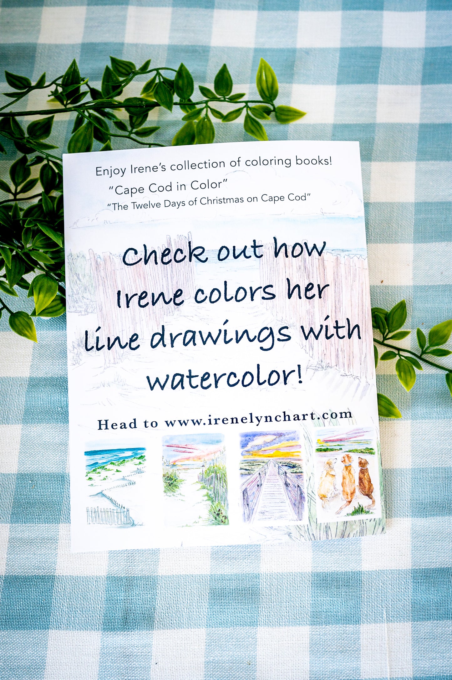 "A Cape Cod Vacation In Color" A Coloring Book for All Ages