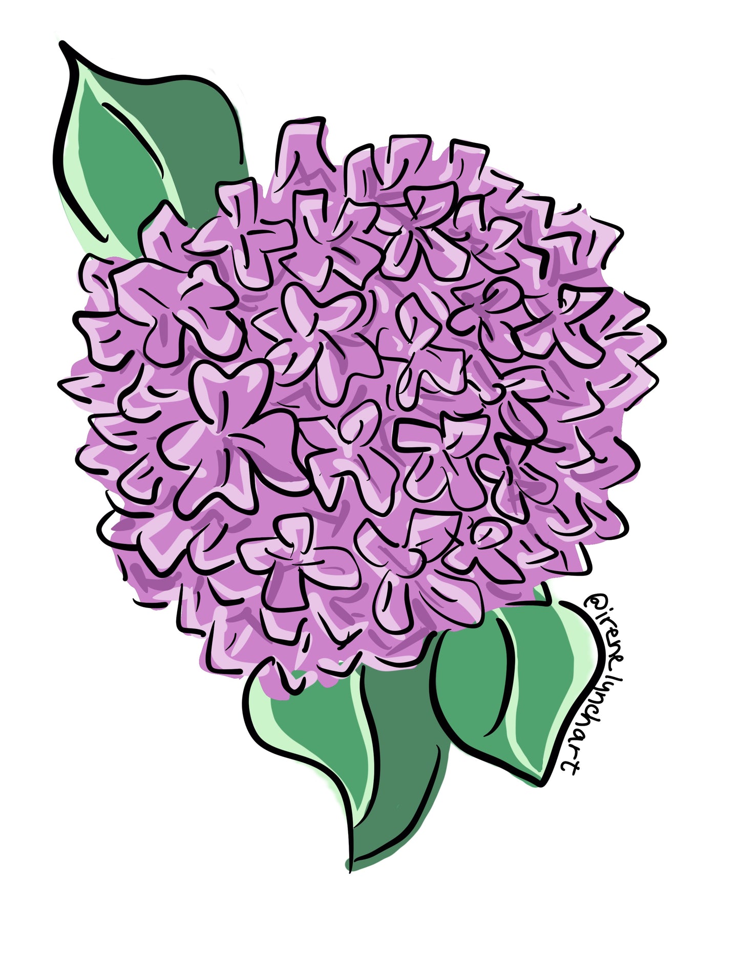 Purple Hydrangea Sticker