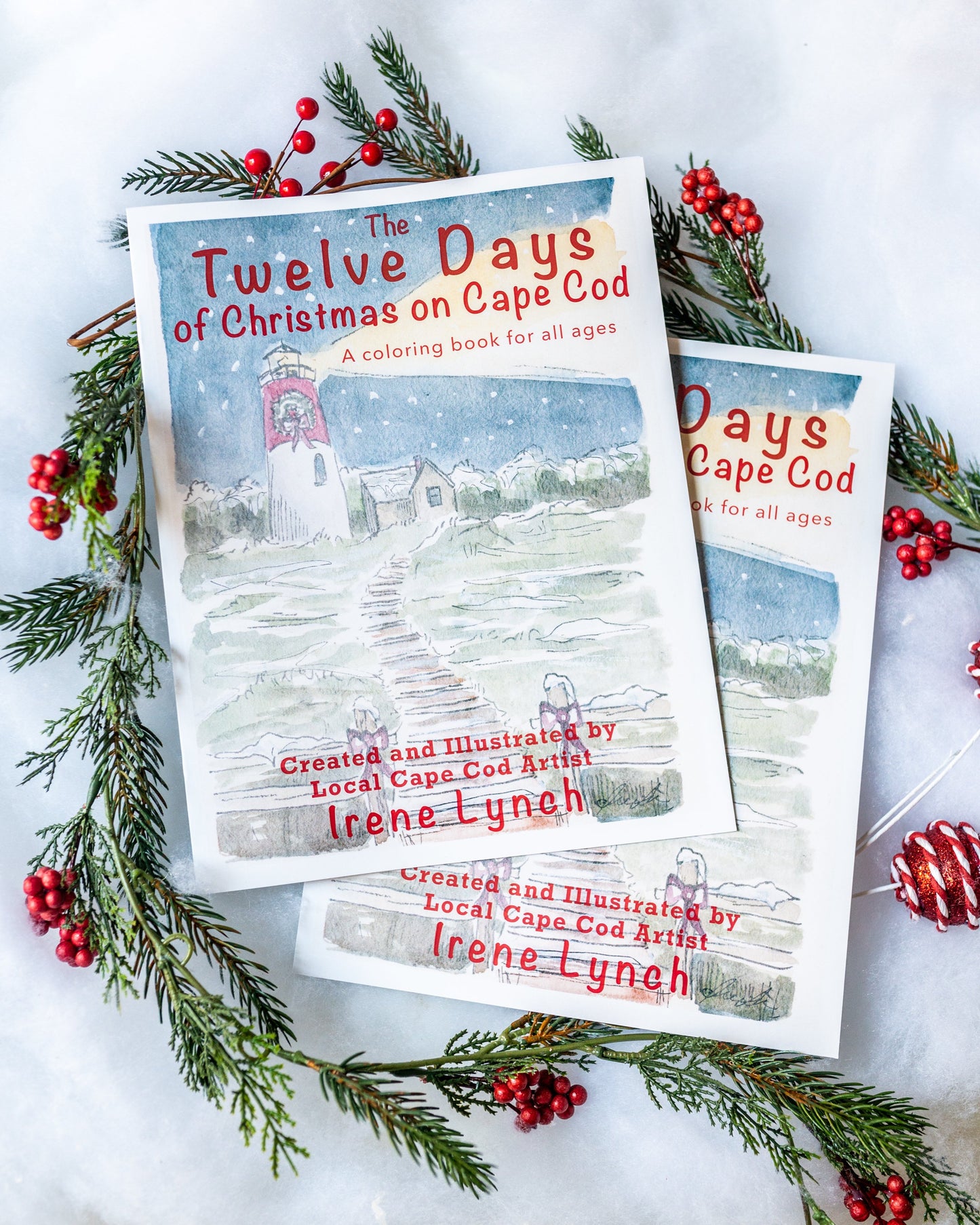 “The Twelve Days of Christmas on Cape Cod” A Coloring Book For All Ages - wholesale