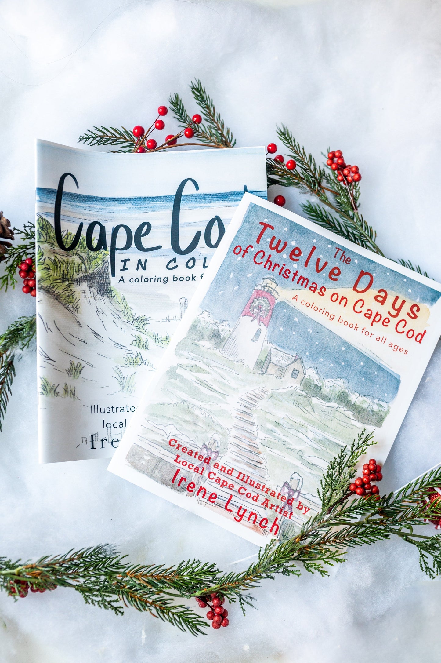 Christmas Cape Cod coloring book
